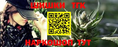 тгк Можга