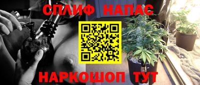 тгк Можга