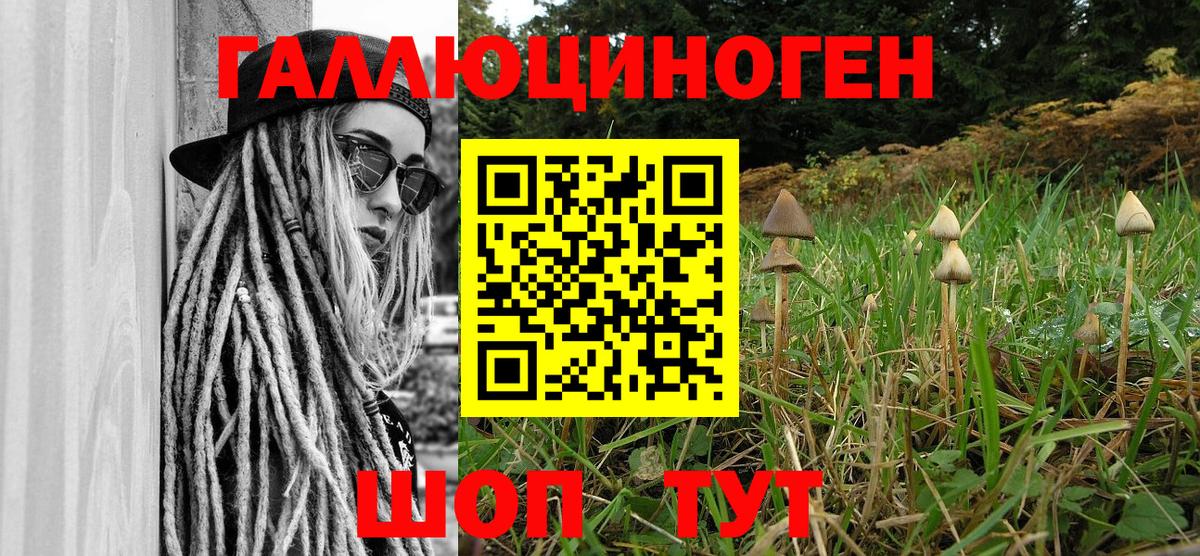 Тавда  продажа наркотиков  Вход с VPN  Галлюциногенные грибы Magic Shrooms 